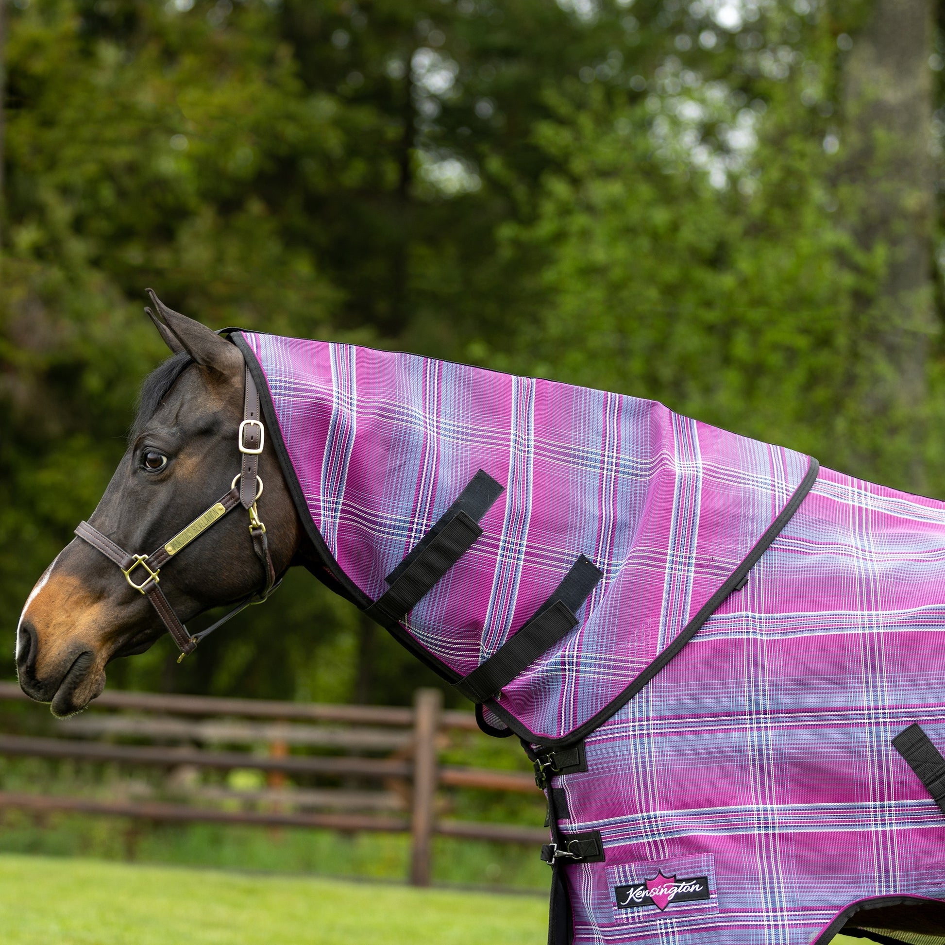 Kensington Horse Protective Neck Cover