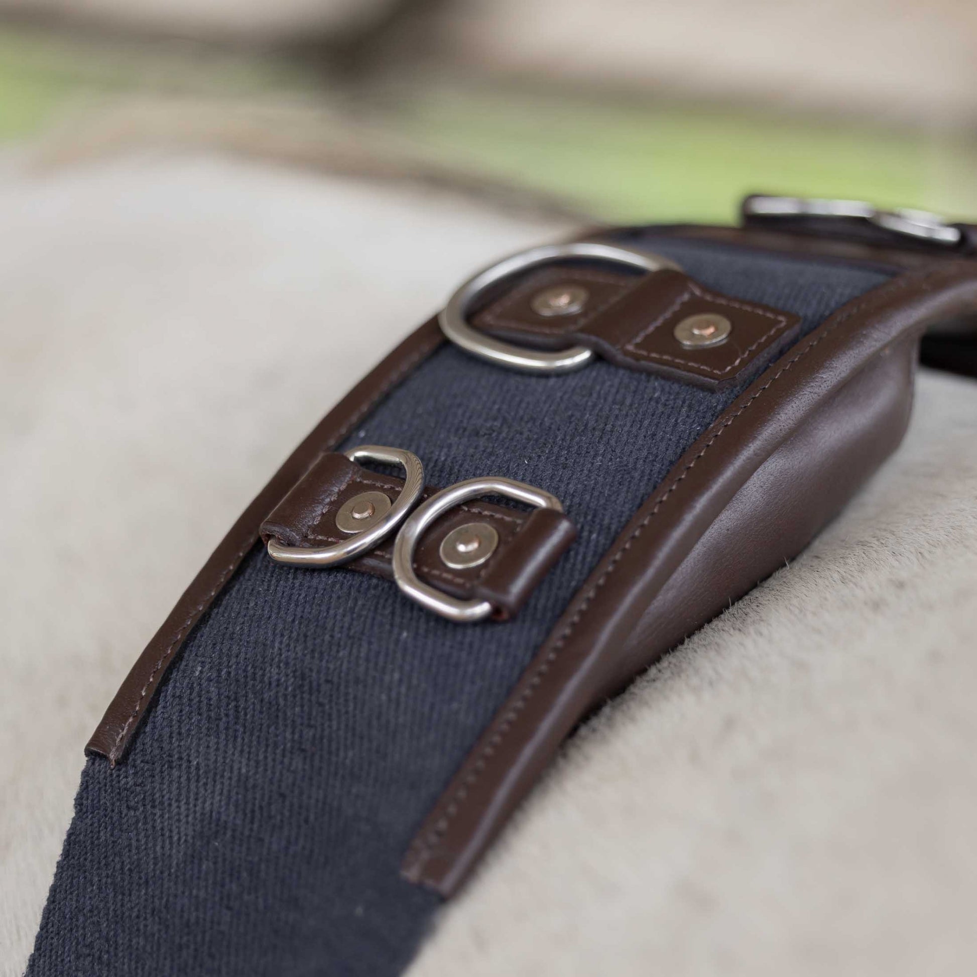 Equinavia Saga Lunge Surcingle