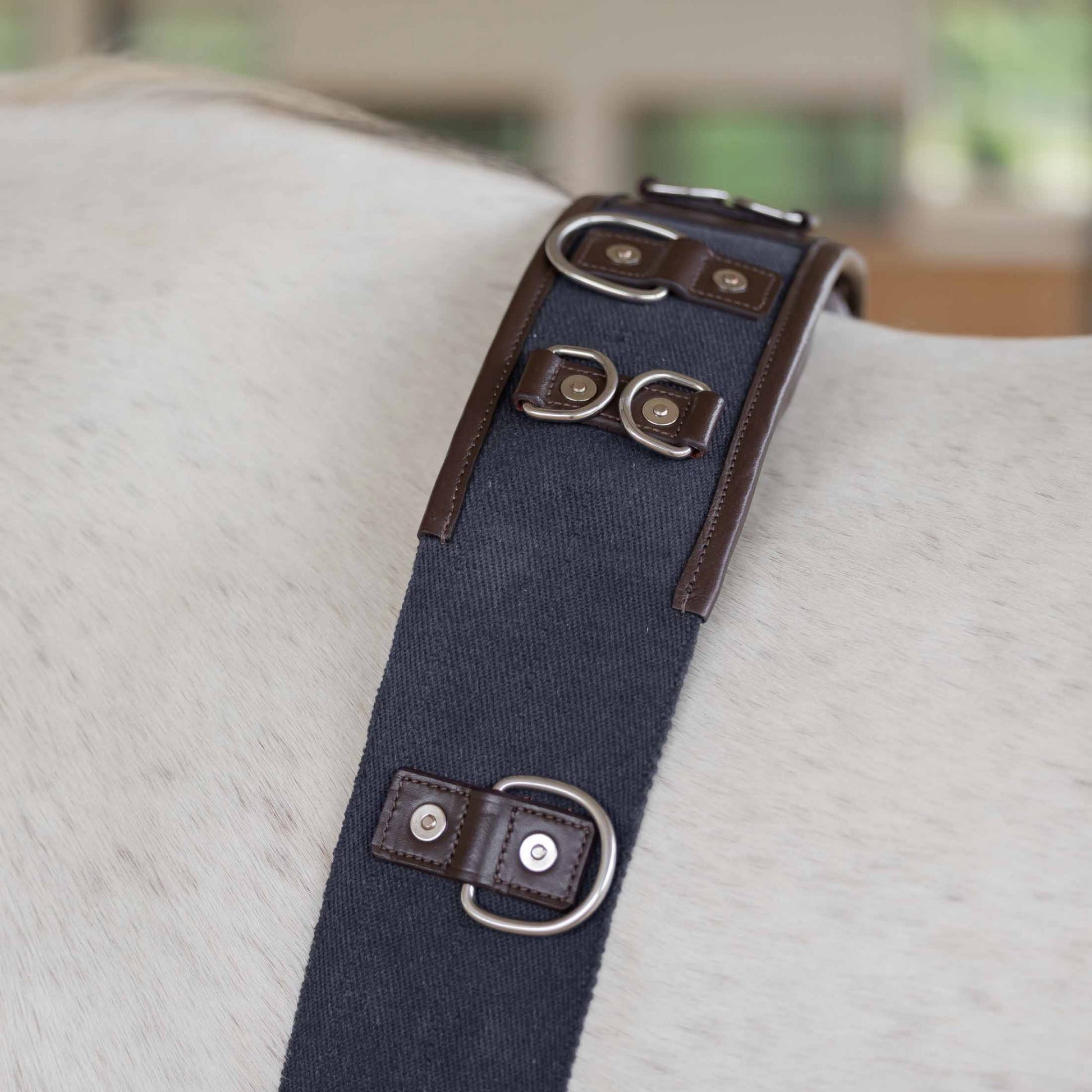 Equinavia Saga Lunge Surcingle