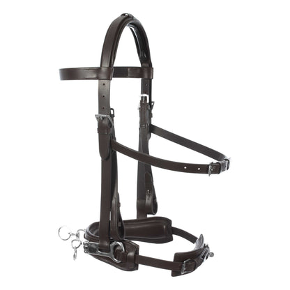 Equinavia Saga Lunge Cavesson