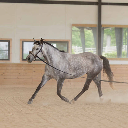 Equinavia Saga 25 Feet Lunge Line