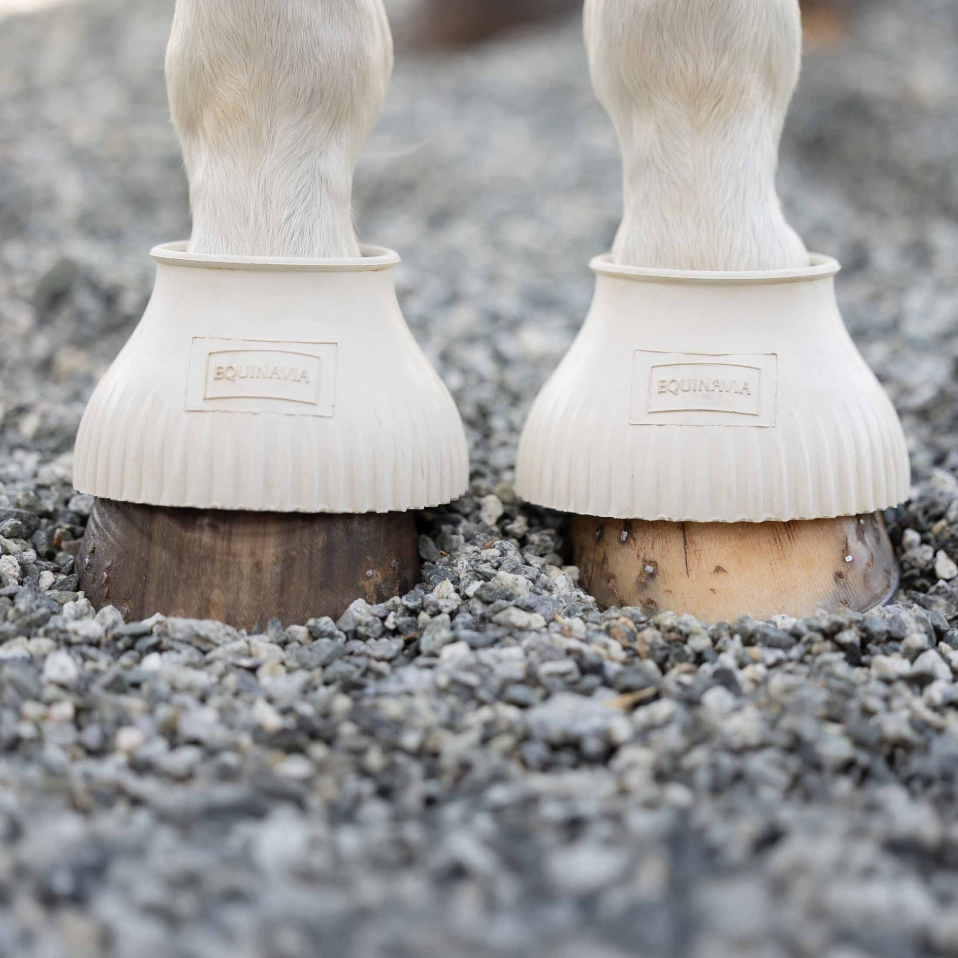 Equinavia Rubber Pull On Bell Boots