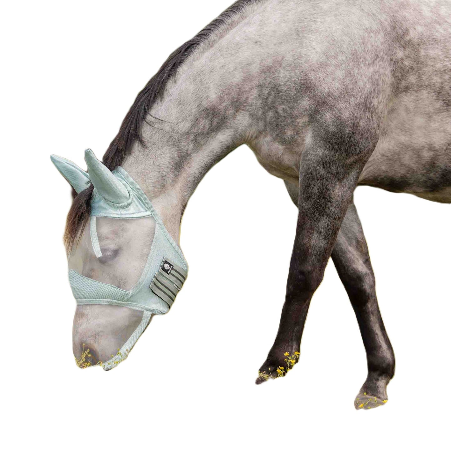 4-530166-02.jpg