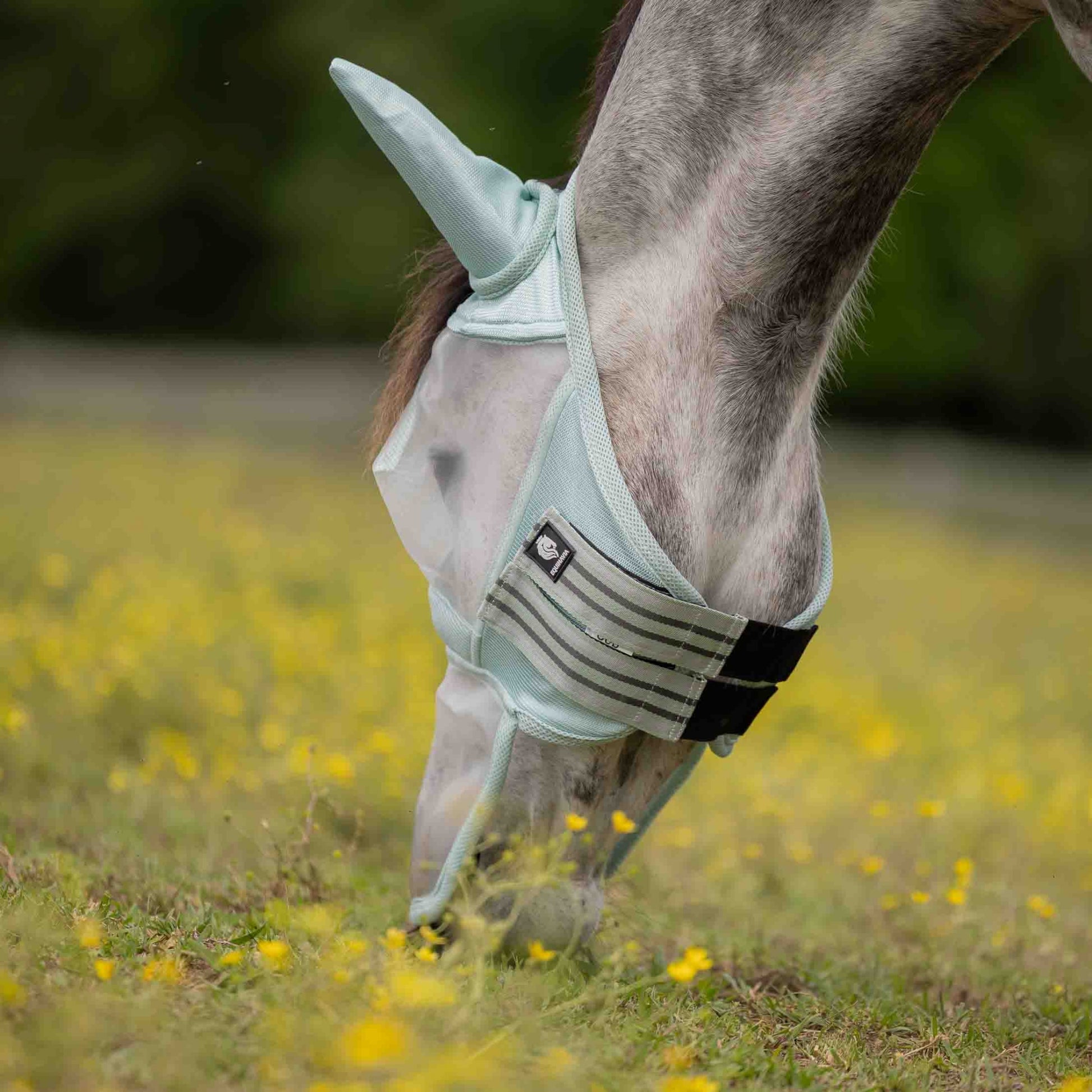 Equinavia Algard Soft Mesh Long Nose Fly Mask