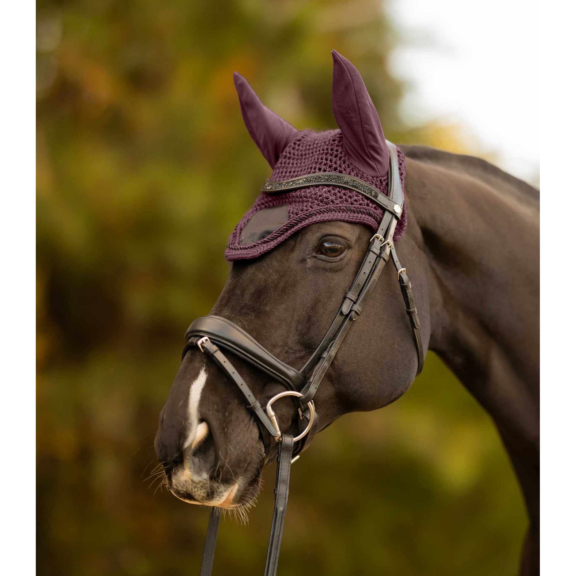 Equinavia Copenhagen Ear Net