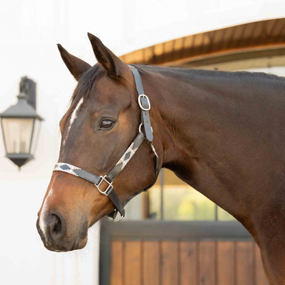 Equinavia Siri Polo Leather Halter