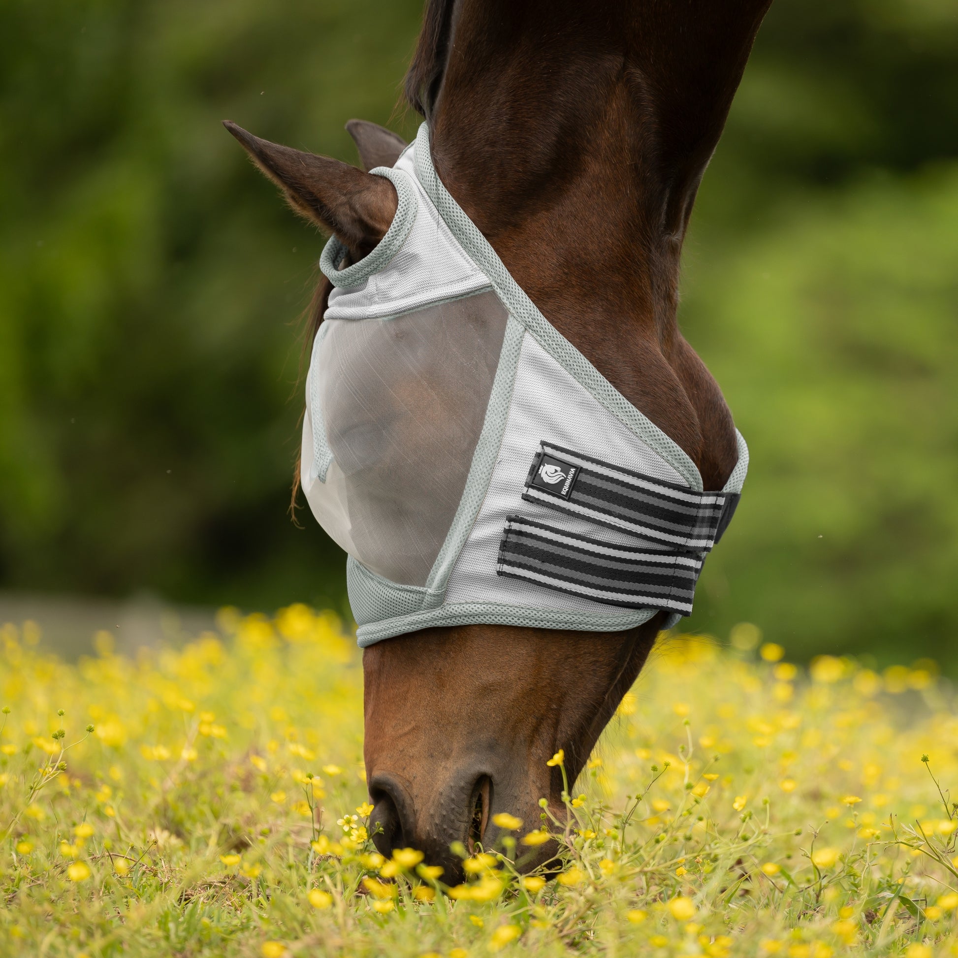 Equinavia Algard Soft Mesh Earless Fly Mask