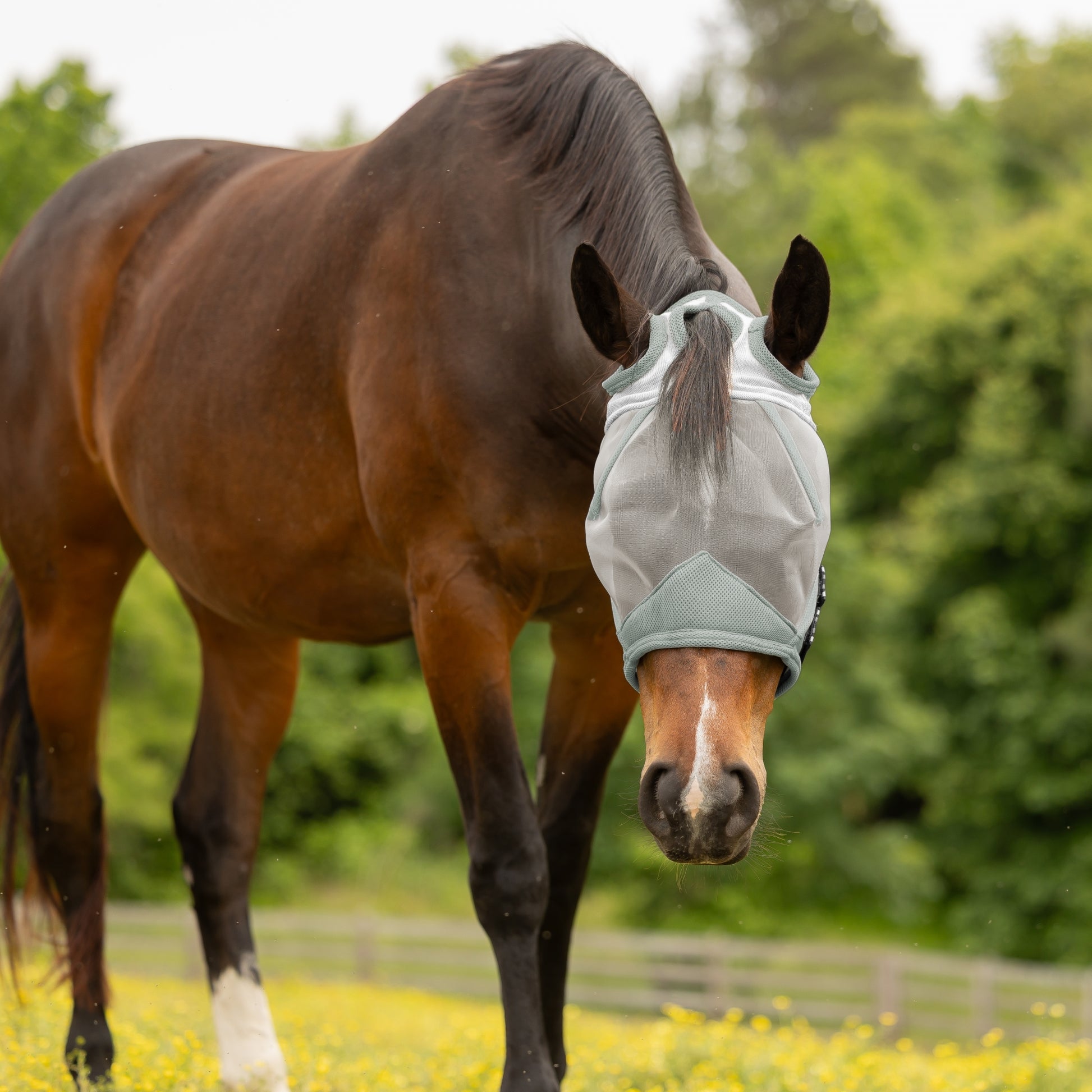 Equinavia Algard Soft Mesh Earless Fly Mask