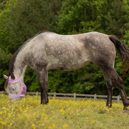 Equinavia Algard Soft Mesh Earless Fly Mask