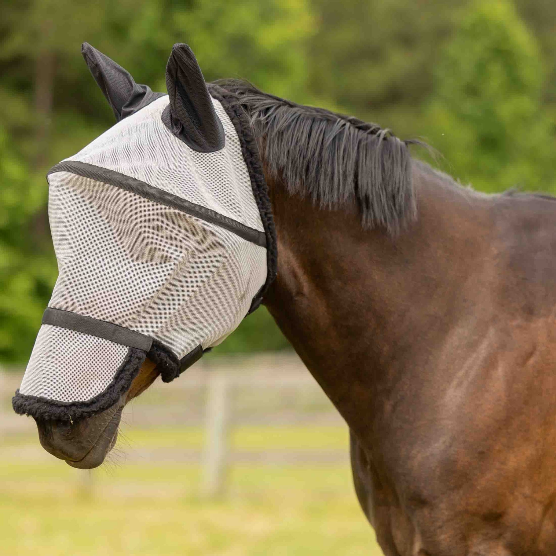 Equinavia Visor Fly Mask with Detachable Nose