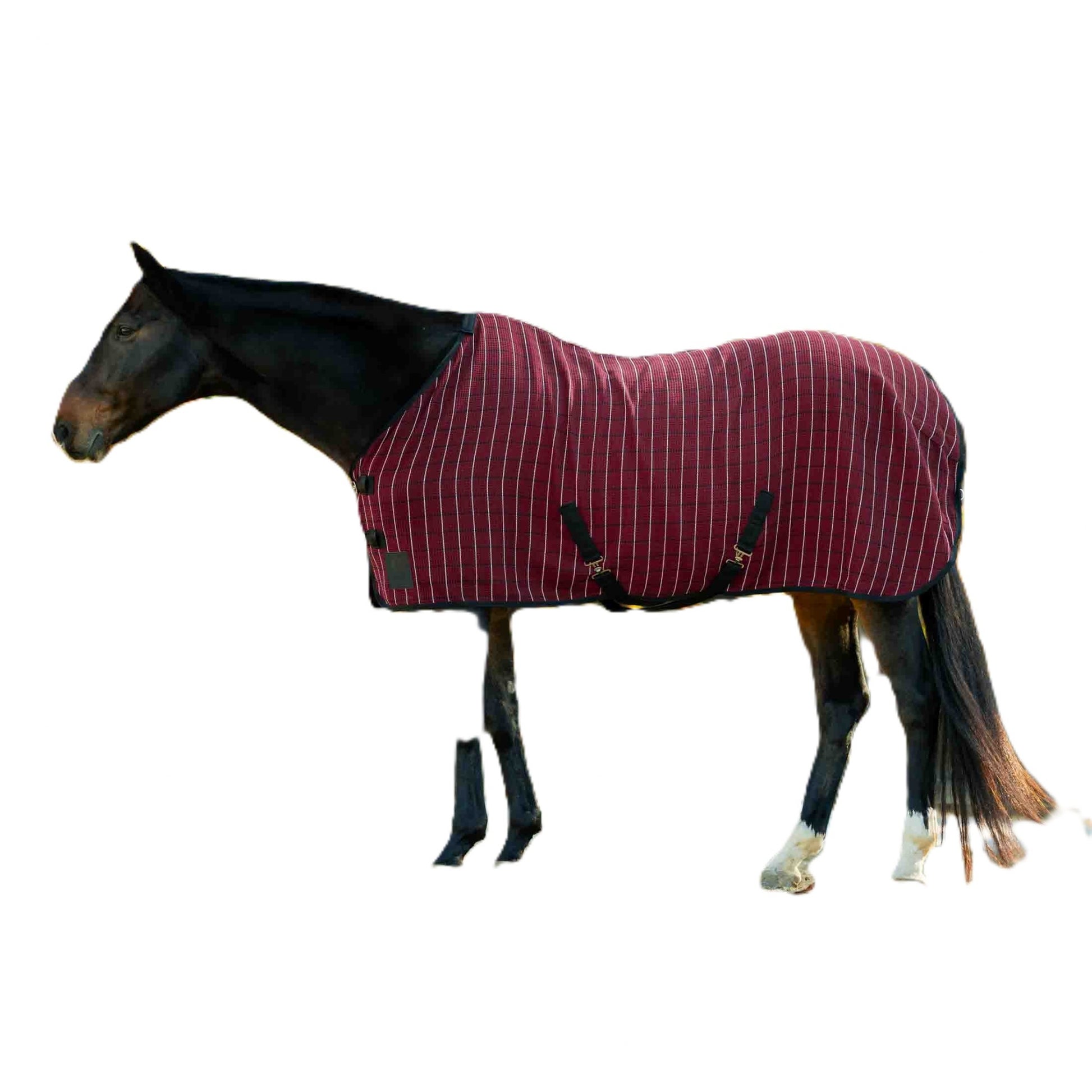 Equinavia Luftig Waffle Cooler