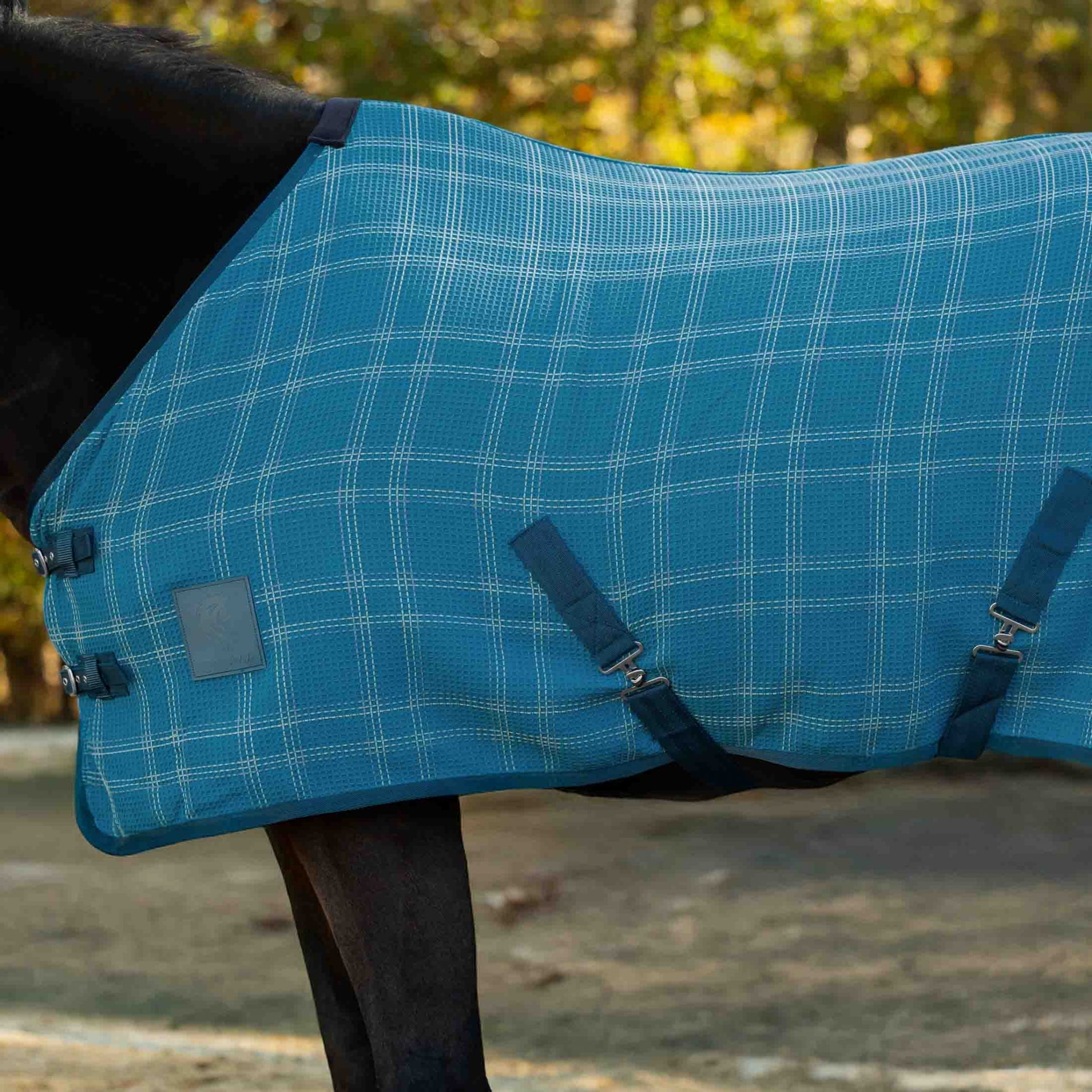 Equinavia Luftig Waffle Cooler