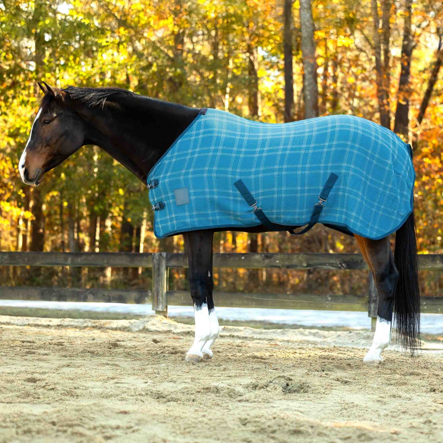 4-530244.jpg