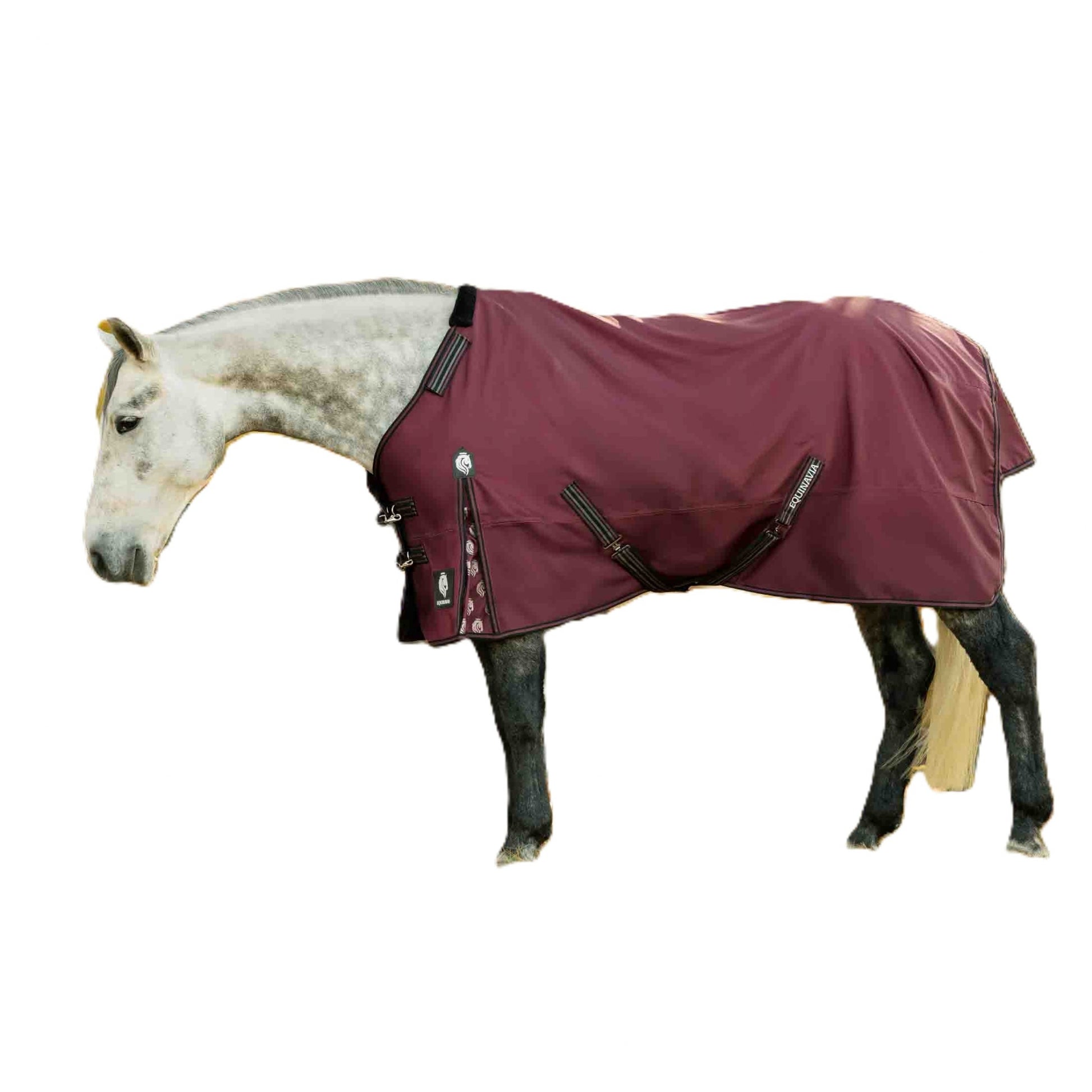 Equinavia Norse MidWeight Turnout Blanket 200g