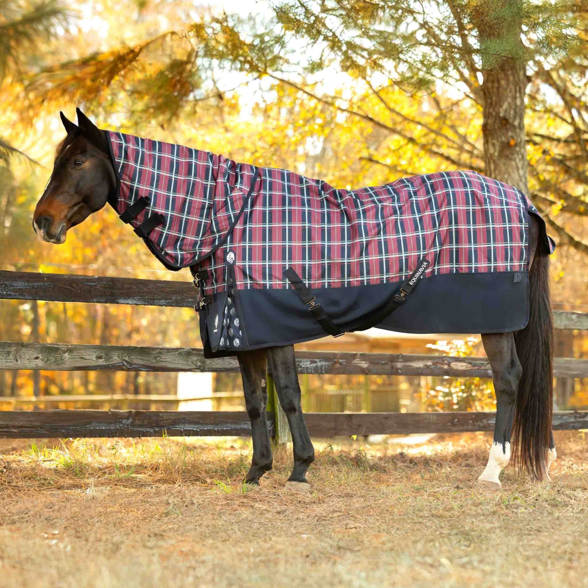 Equinavia Norse MidWeight Turnout Blanket 200g