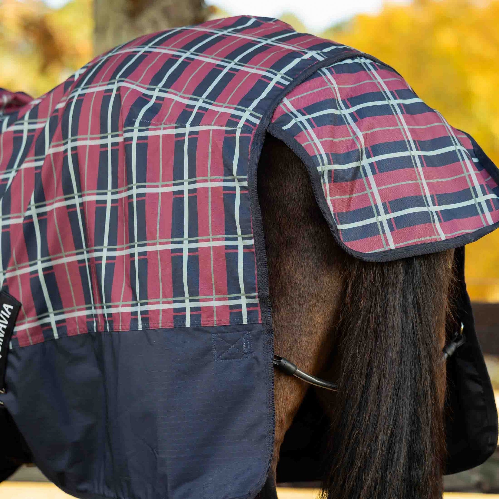 Equinavia Norse MidWeight Turnout Blanket 200g