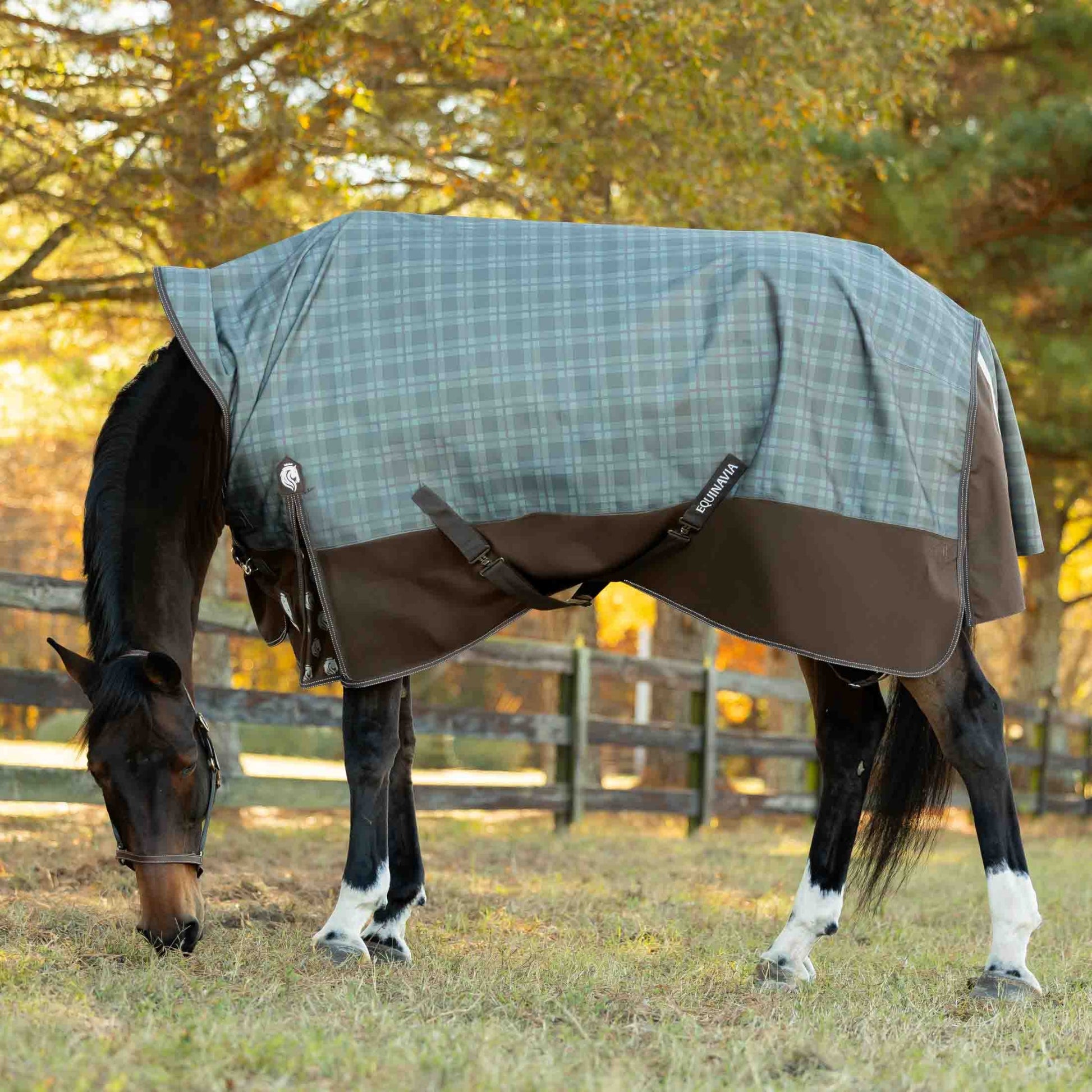 Equinavia Arktis Extended Neck Light Weight Turnout Blanket 100g
