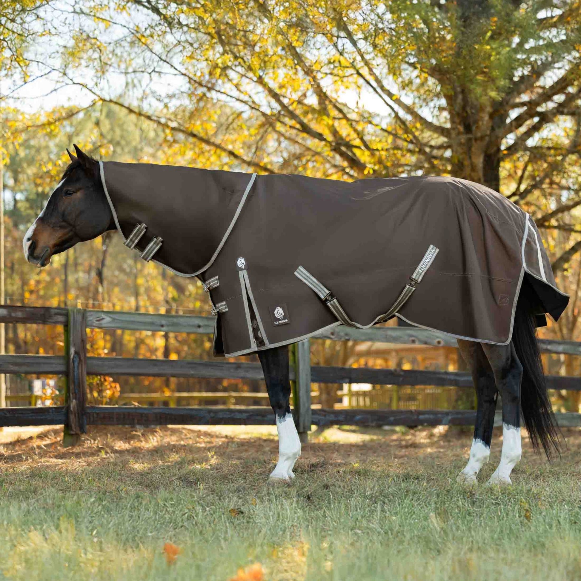 Equinavia Thunder 360 Detachable Neck Light Weight Turnout Blanket 100g