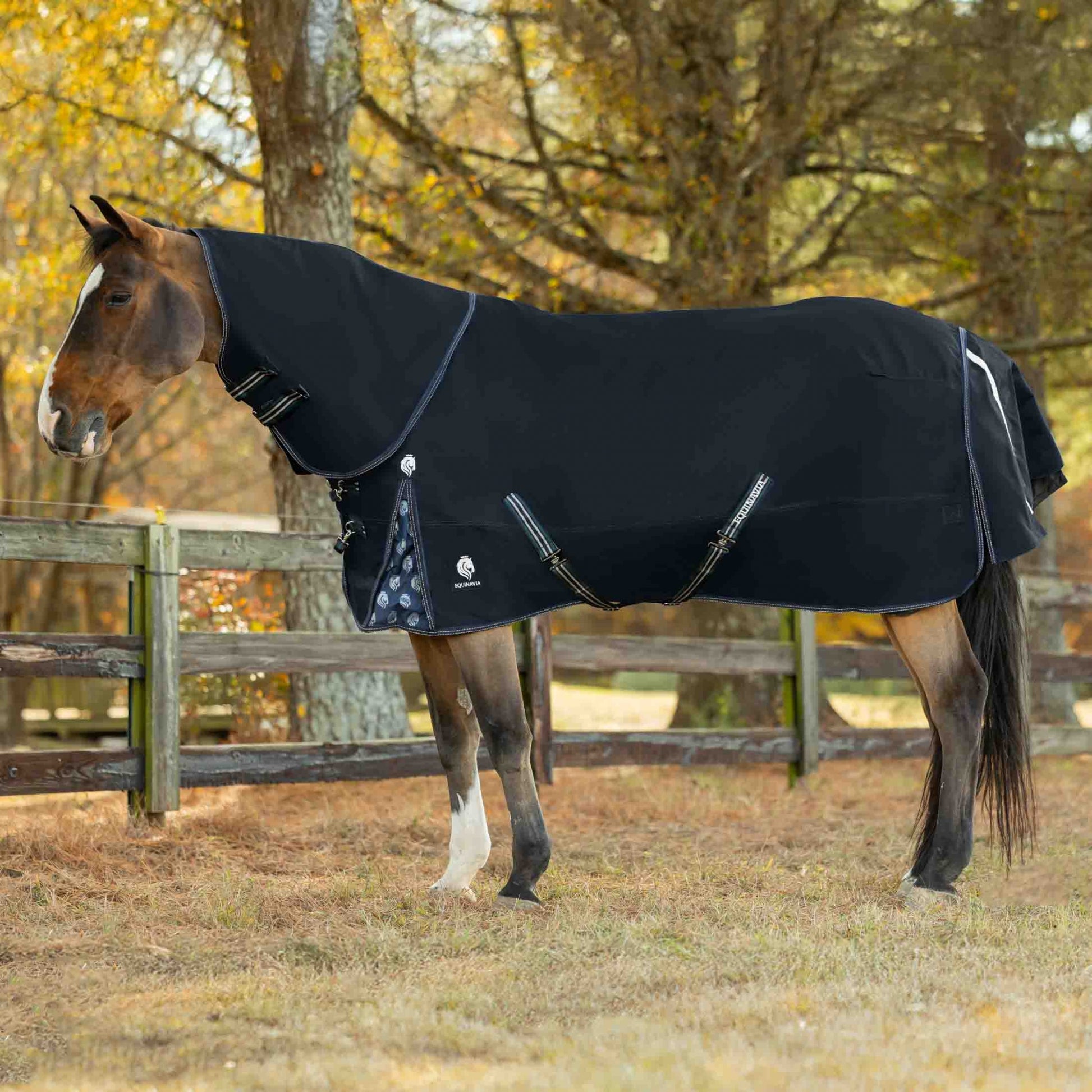 Equinavia Thunder 360 Detachable Neck Light Weight Turnout Blanket 100g