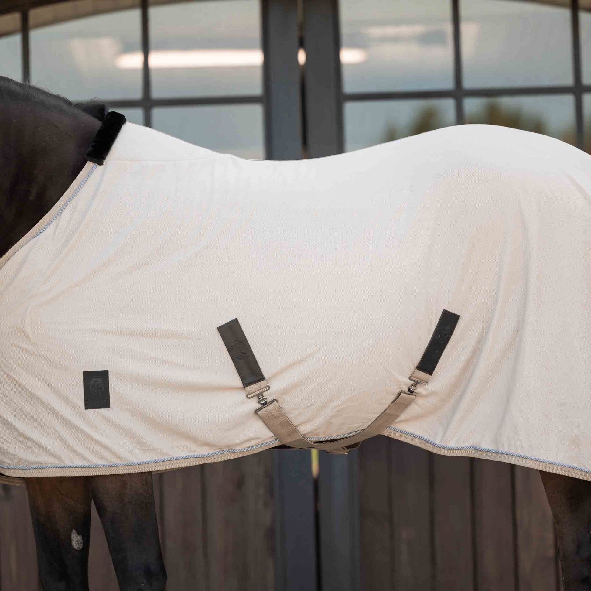Equinavia Torr Quick Dry Cooler