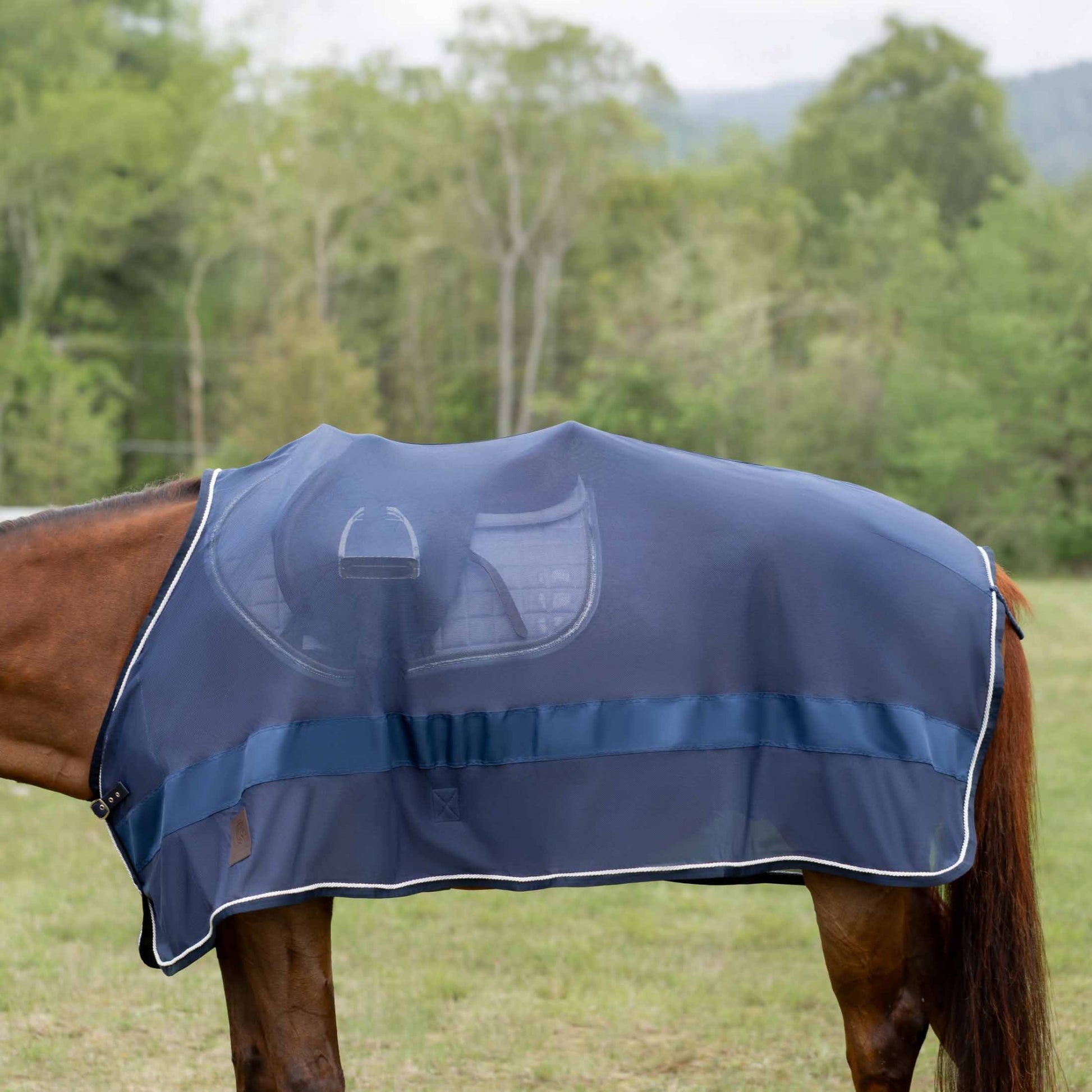 Equinavia Sol Ringside Scrim Sheet