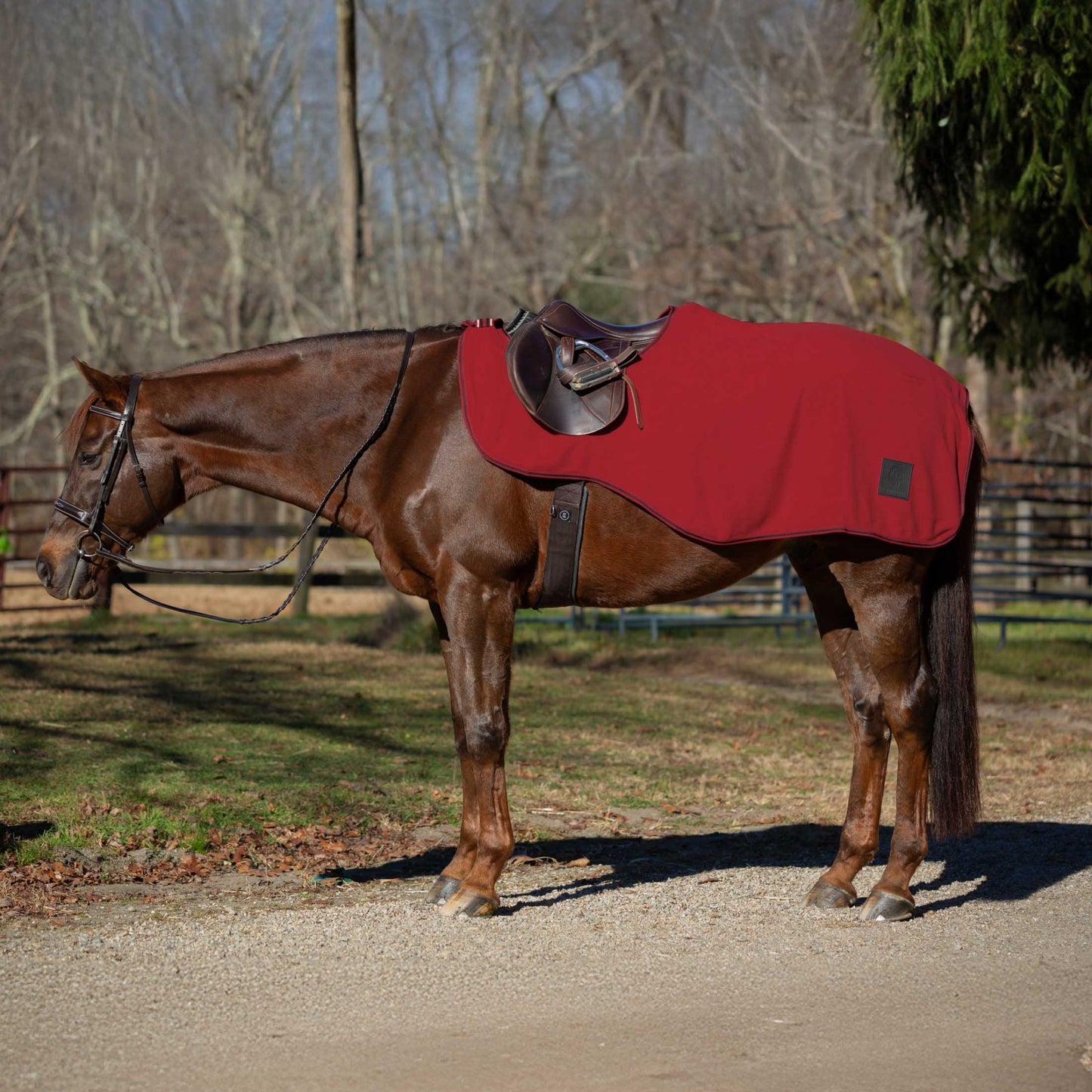 4-530703-1.jpg