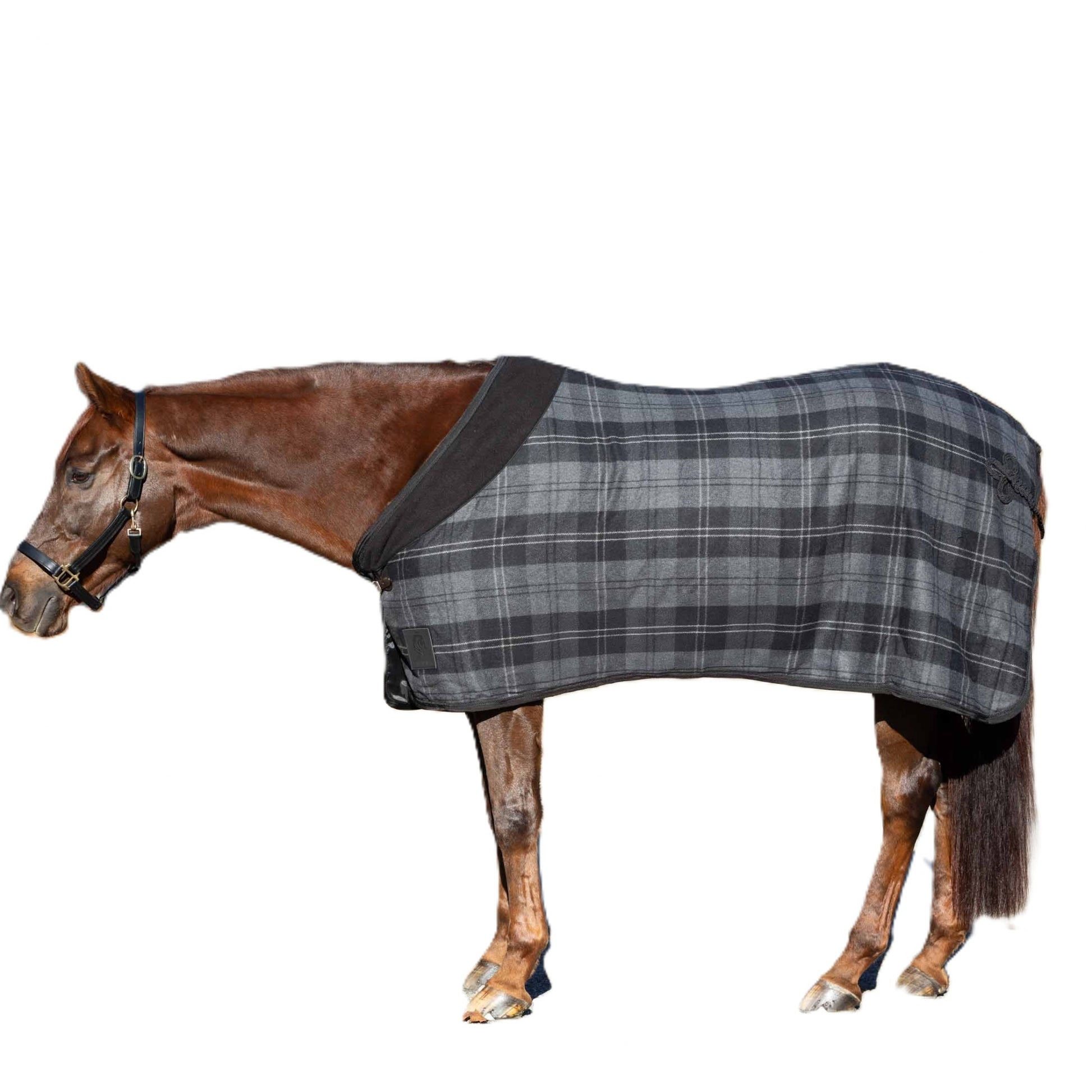 Equinavia Ulla Wool Cooler