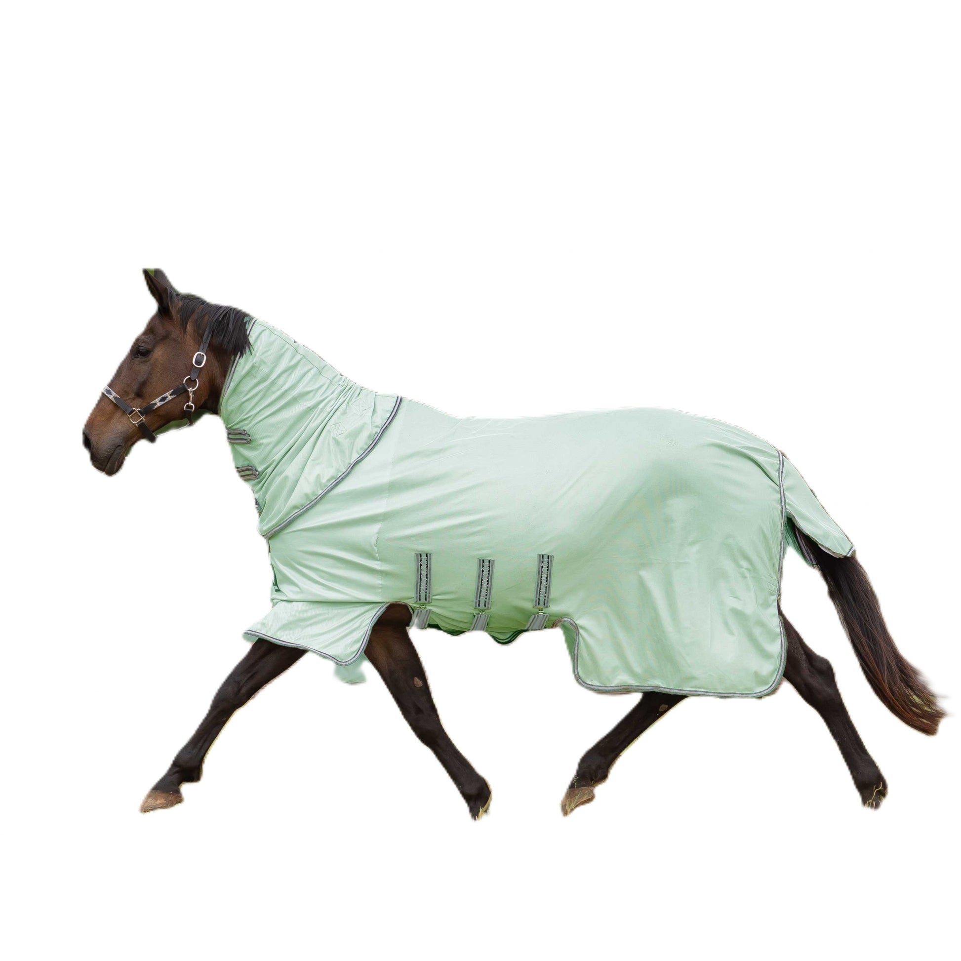 Equinavia Vern Full Protect Fly Sheet