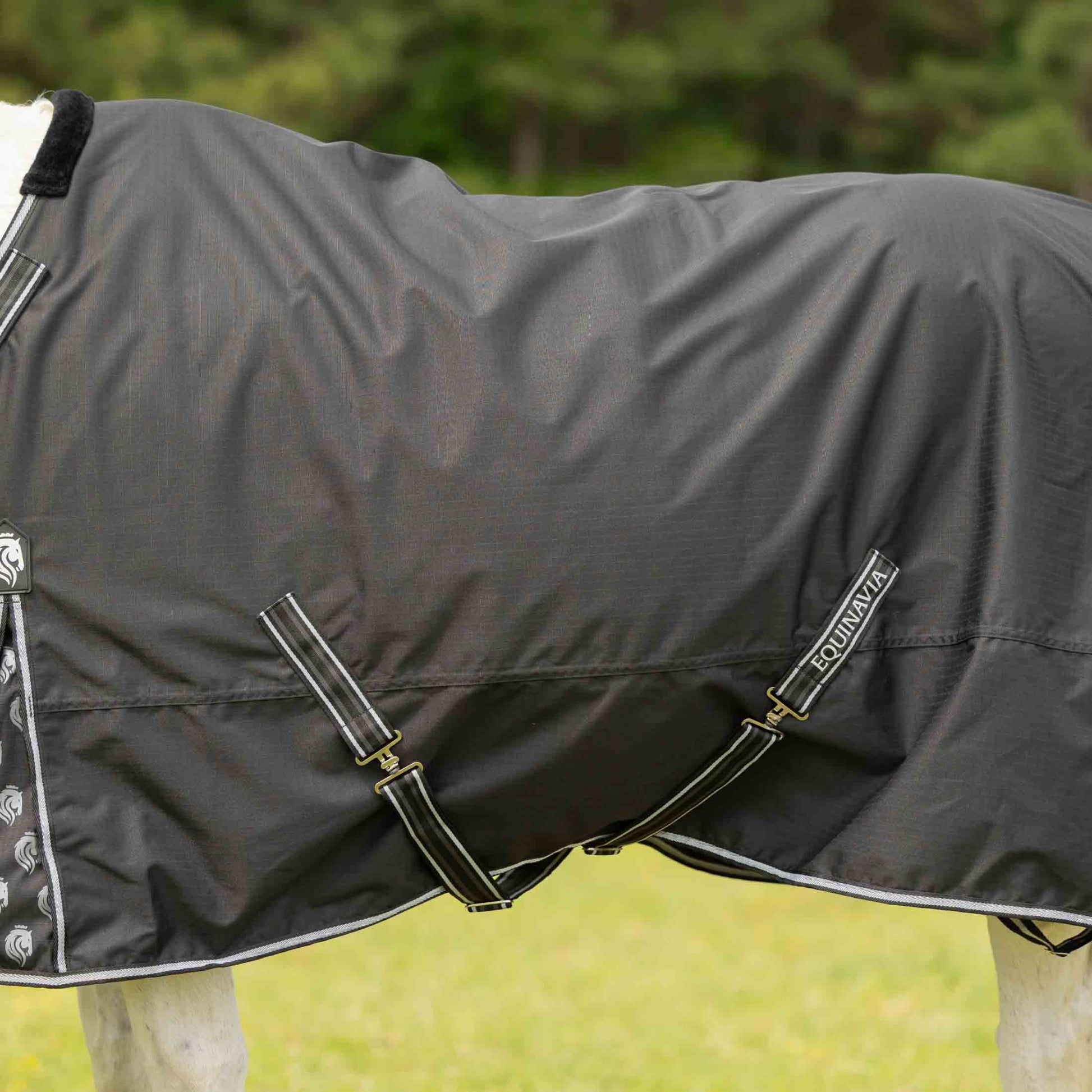 Equinavia Norse Fleece Lined Turnout Blanket