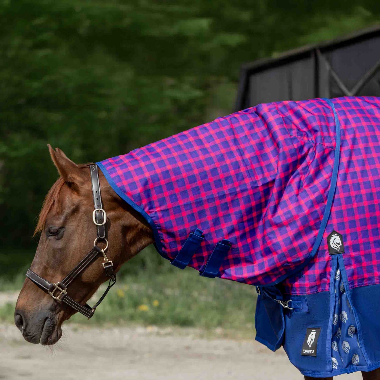 4-530923-2.jpg