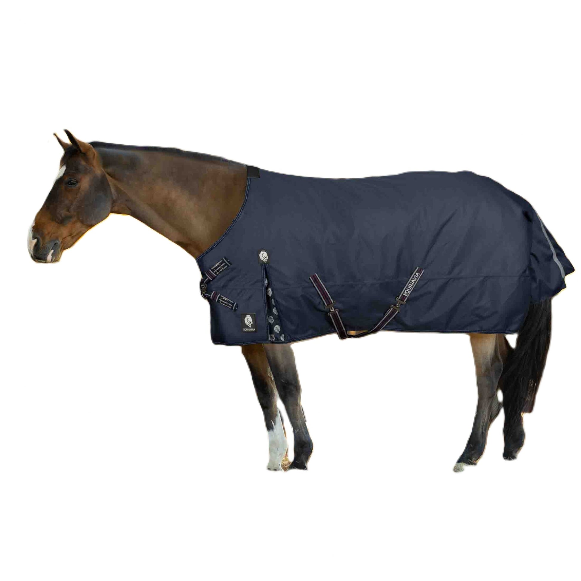 Equinavia Arktis VariFlex Turnout Blanket