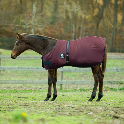 Equinavia Norse Foal Turnout Blanket 200g