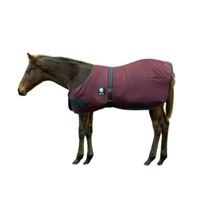 Equinavia Norse Foal Turnout Blanket 200g