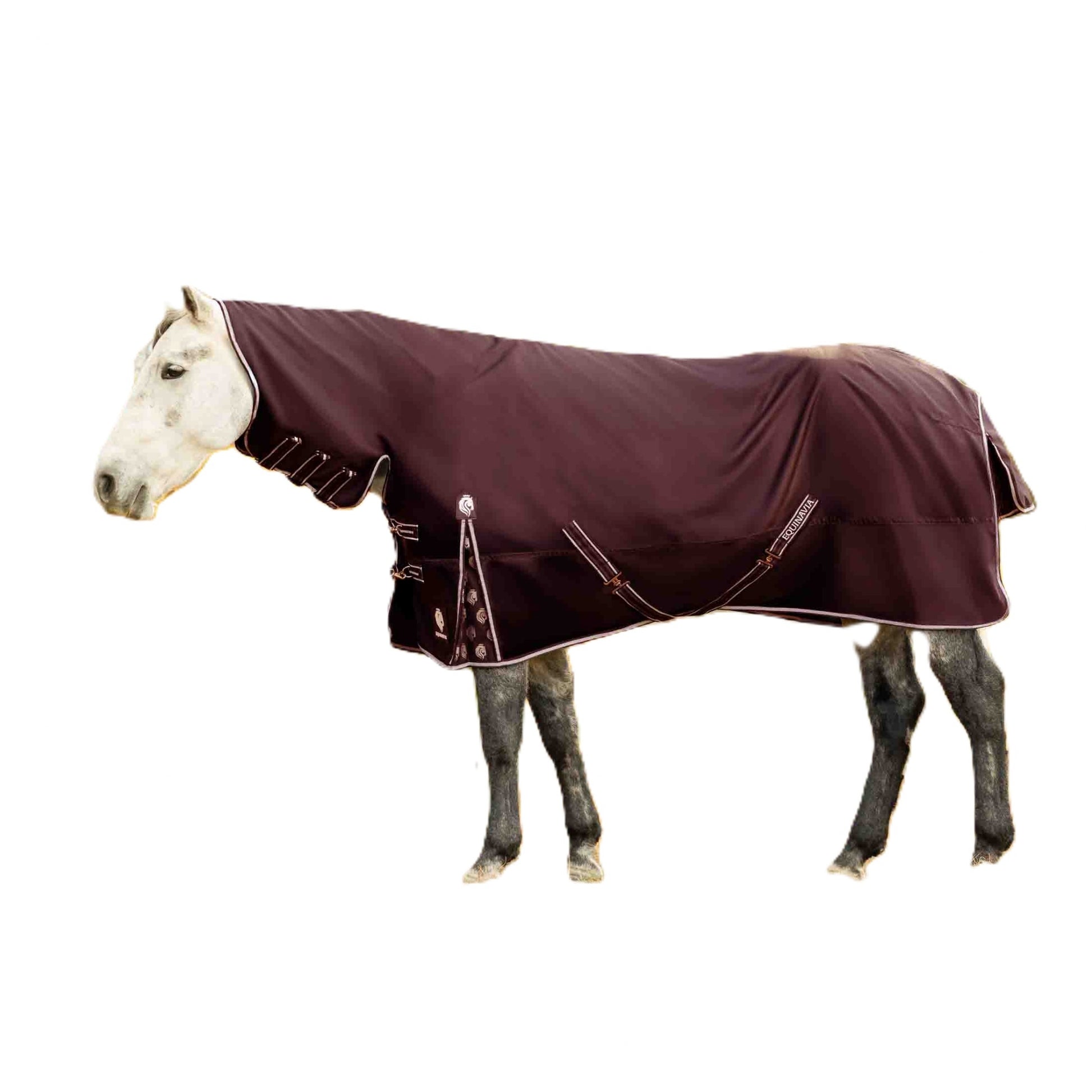 Equinavia Norse Full Neck Turnout Blanket 300g