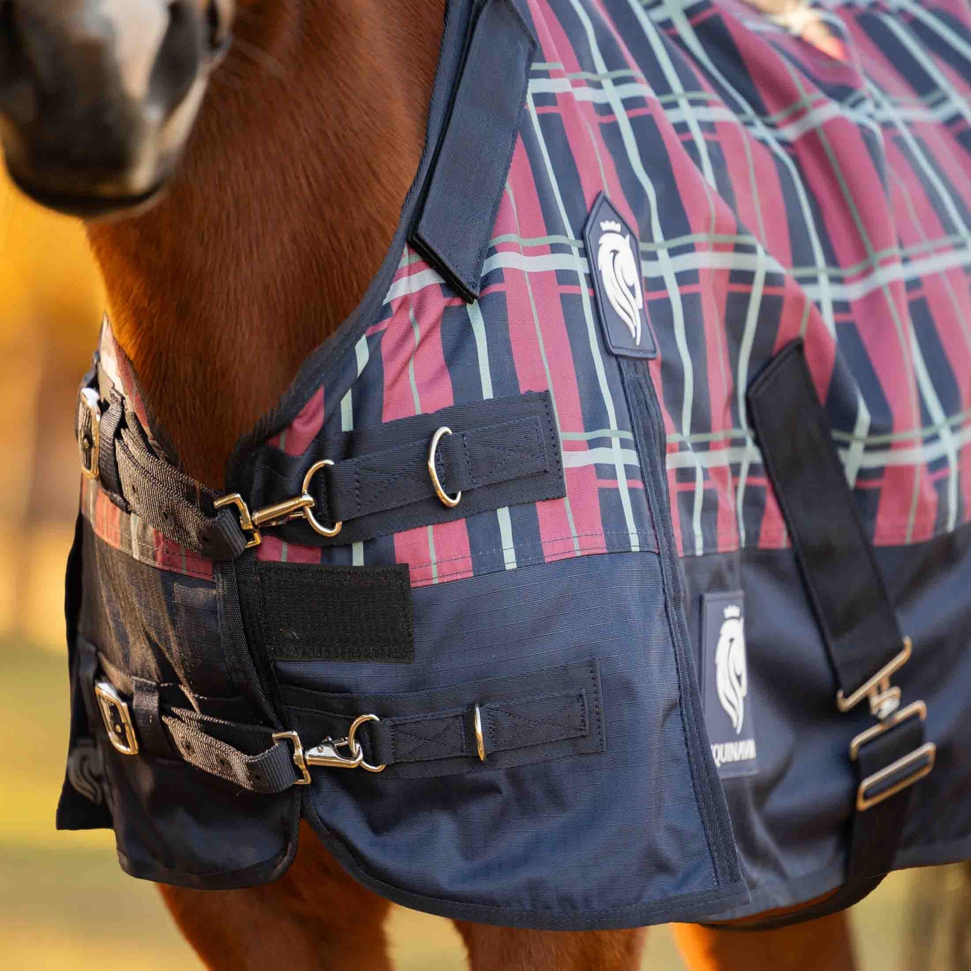 Equinavia Norse Pony Turnout Blanket 200g