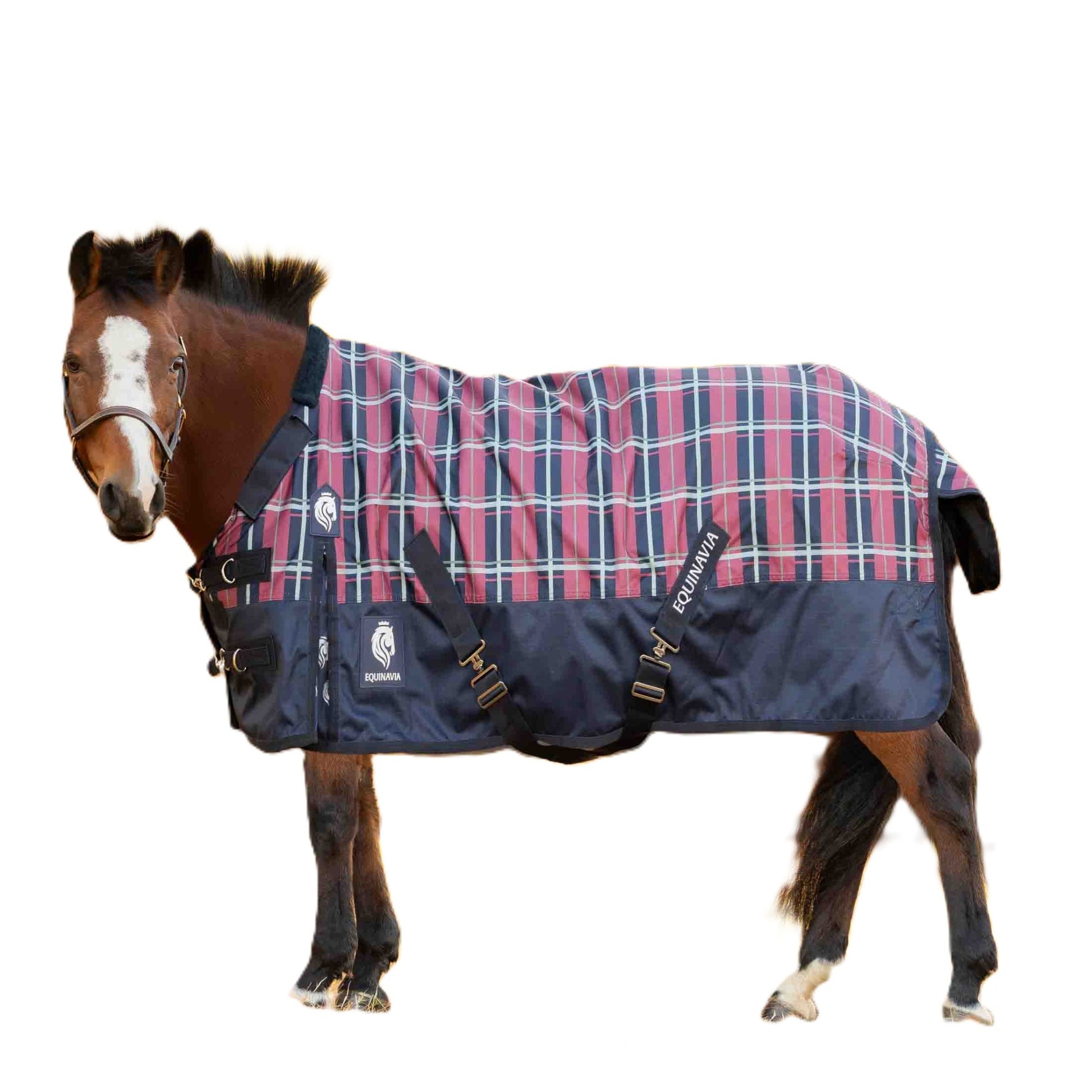 Equinavia Norse Pony Turnout Blanket 100g