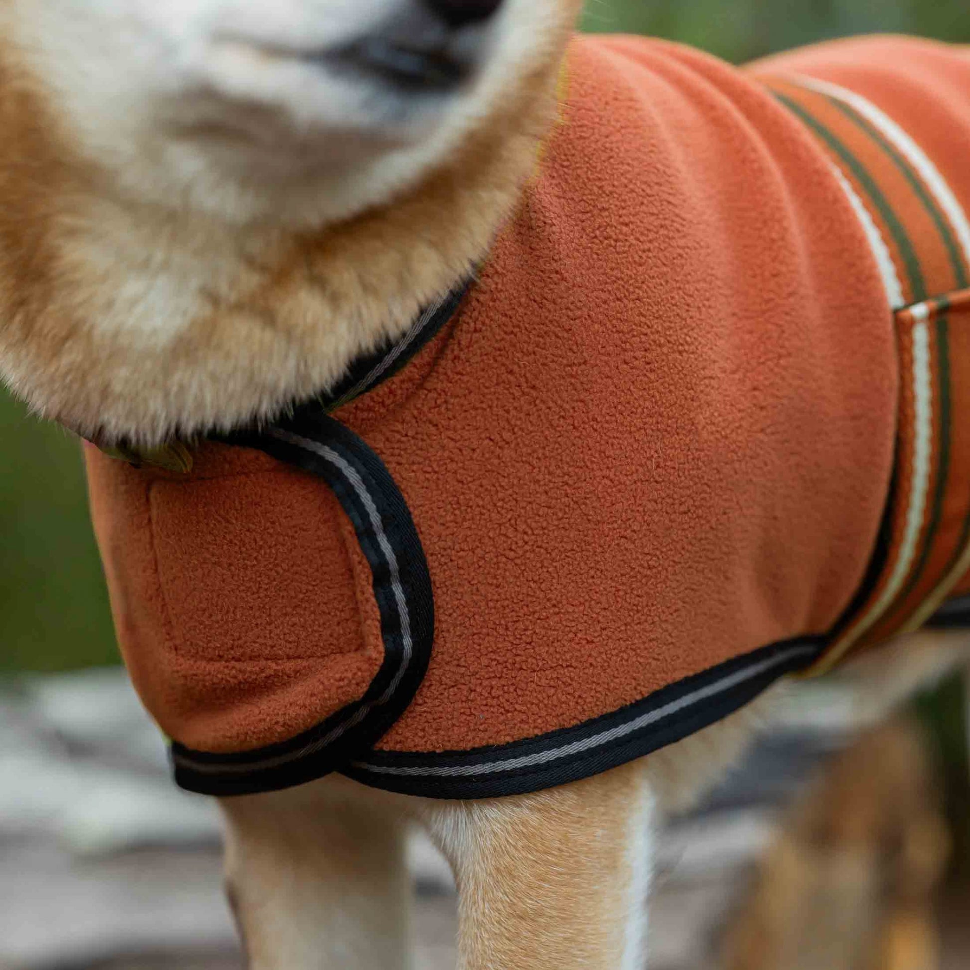 Equinavia Norse Fleece Dog Coat