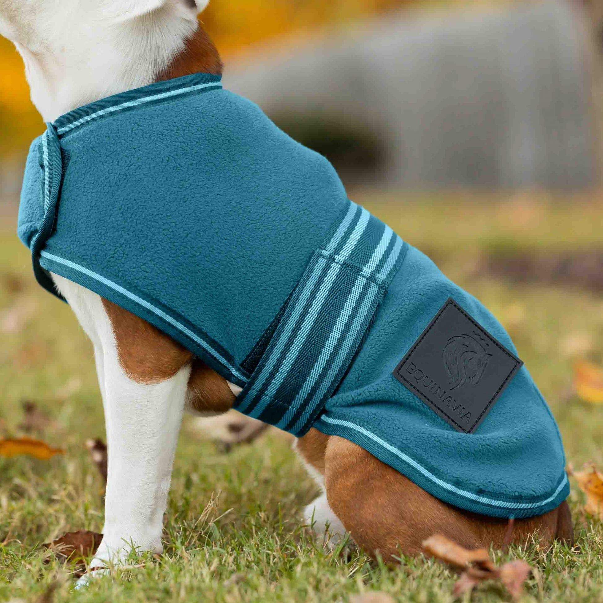Equinavia Norse Fleece Dog Coat