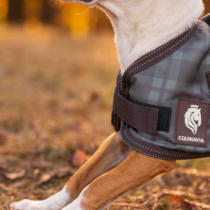 Equinavia Arktis Dog Turnout Sheet
