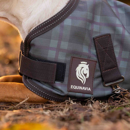 Equinavia Arktis Dog Turnout Sheet