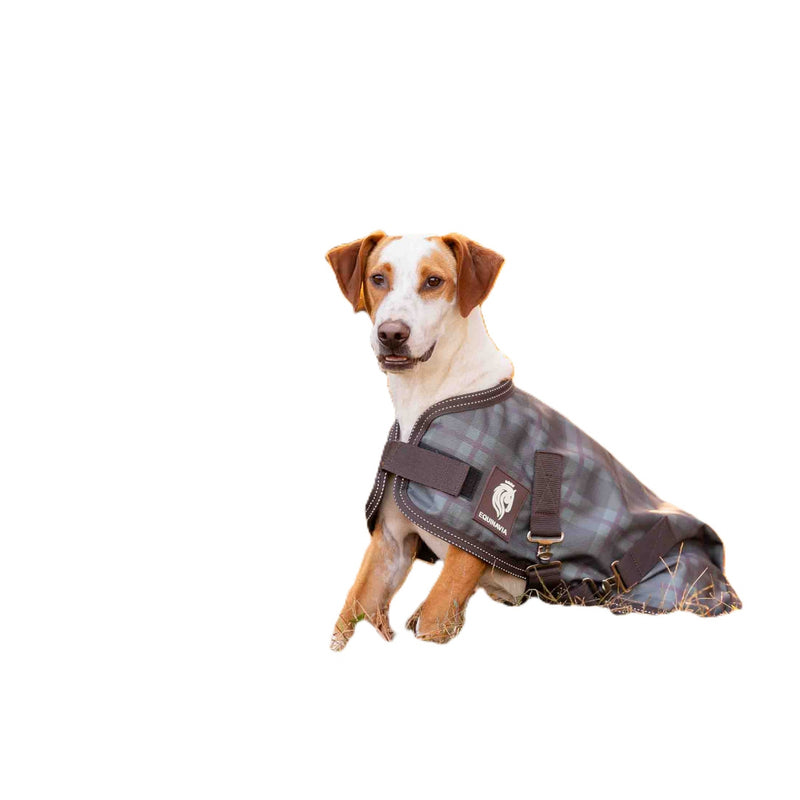 Equinavia Arktis Dog Turnout Blanket 200g