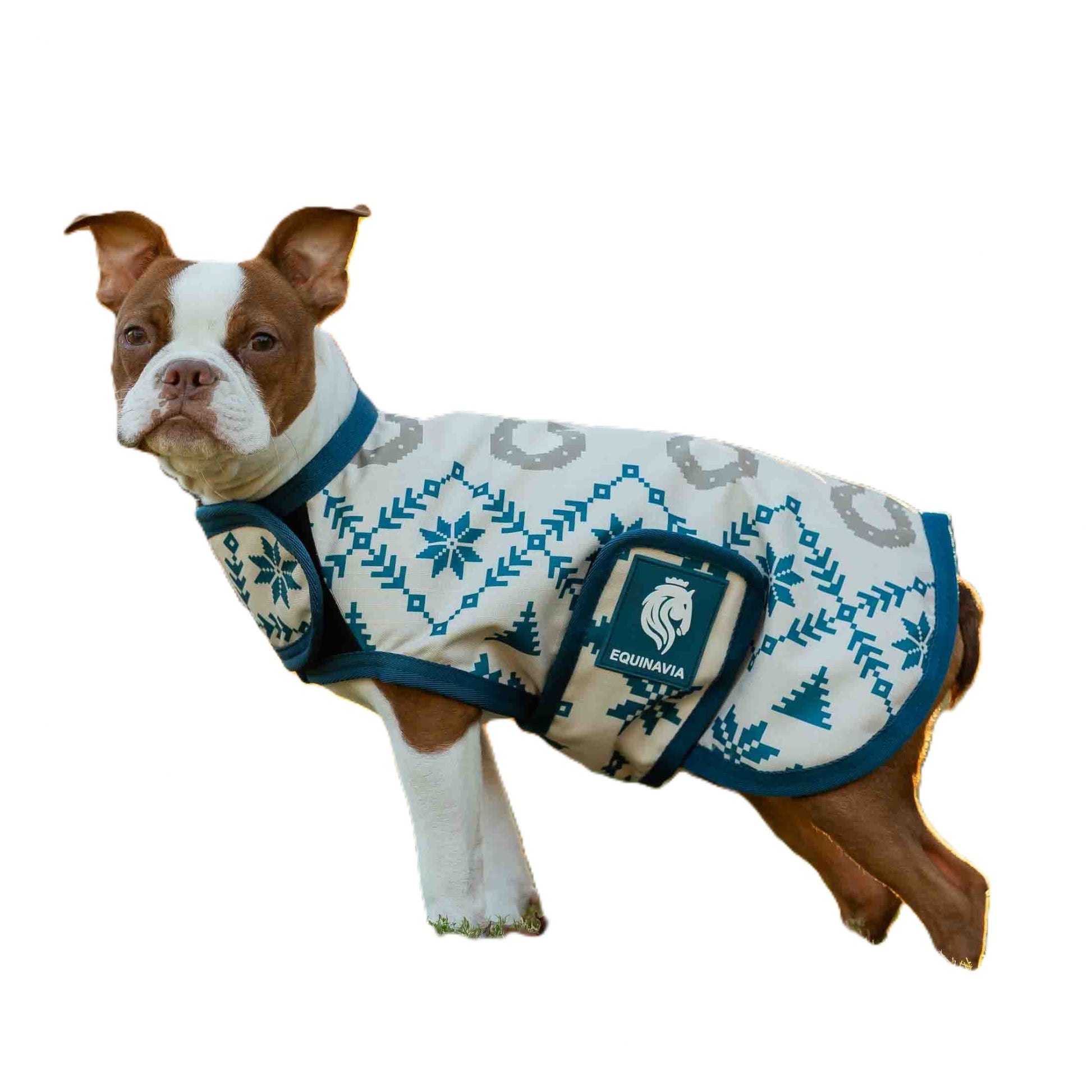 Equinavia Norse Dog Turnout Blanket 200g
