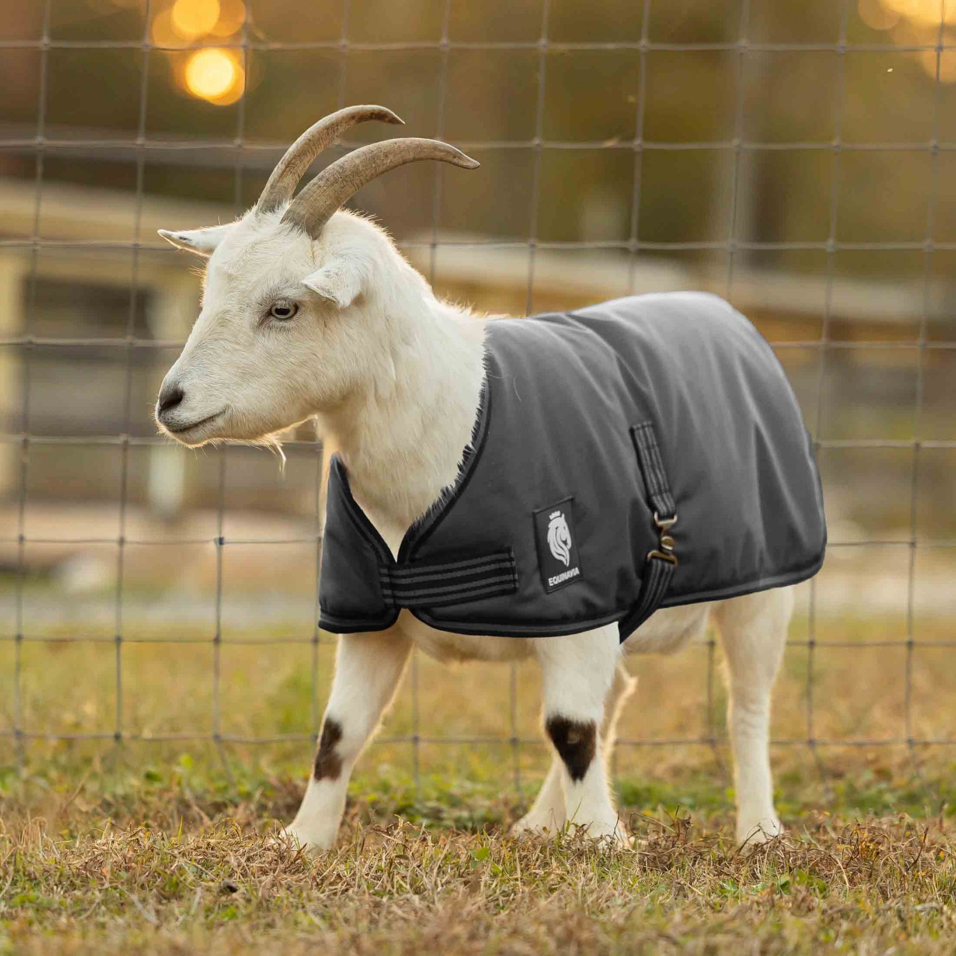 Equinavia Norse Waterproof Goat Coat 0g