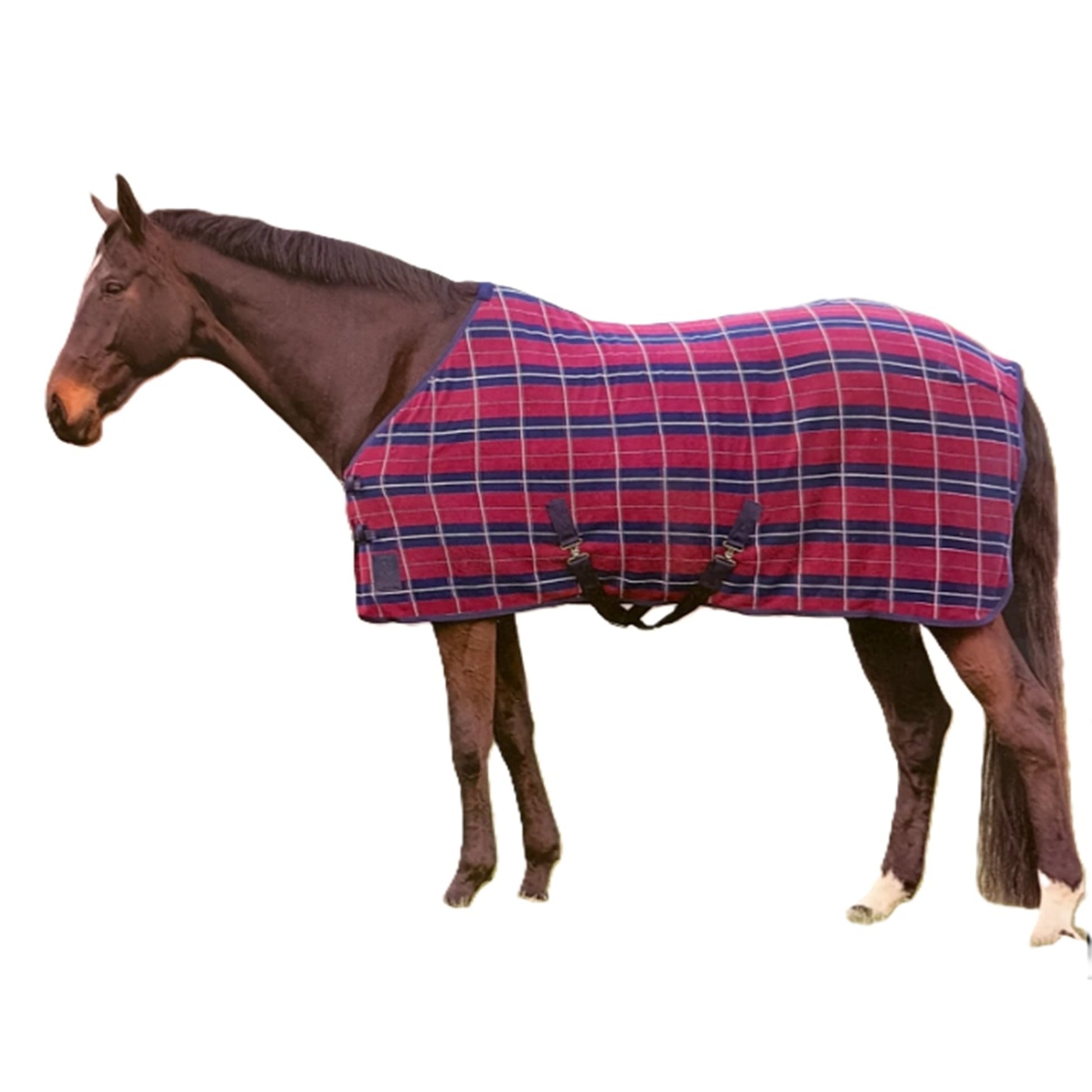 Equinavia Norse Fleece Cooler