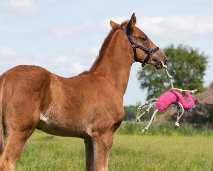QHP Unicorn Horse Toy