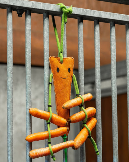QHP Carrot Horse Toy with Hay Net