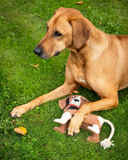 QHP 3D Beagle Dog Toy