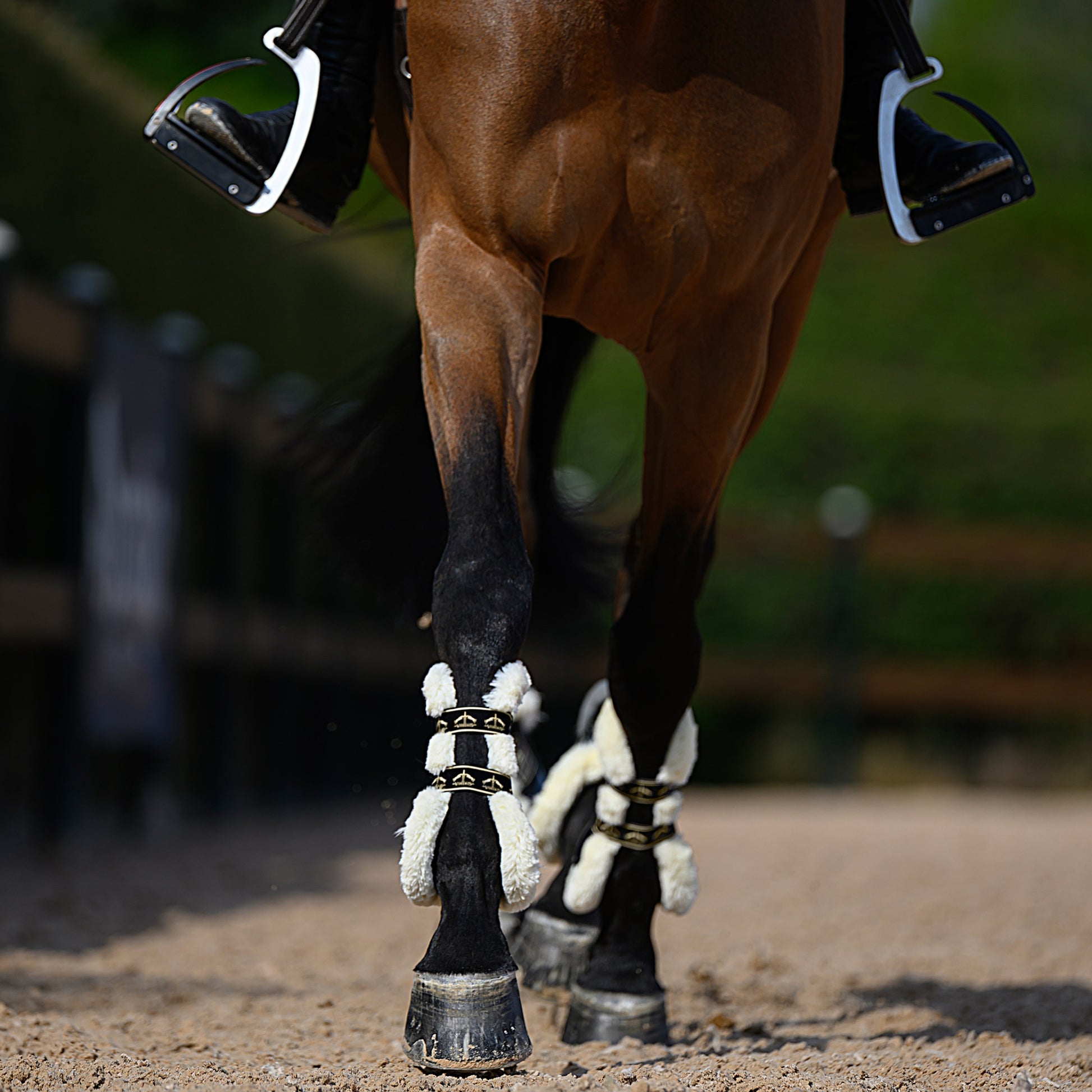 Veredus Carbon Gel Absolute Save the Sheep Front Tendon Boots