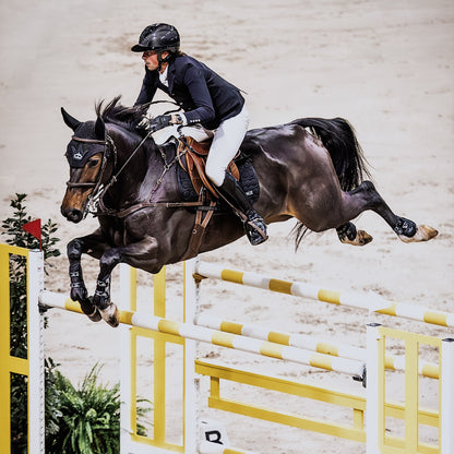 Veredus Pro Jump Active Rear Fetlock Boots