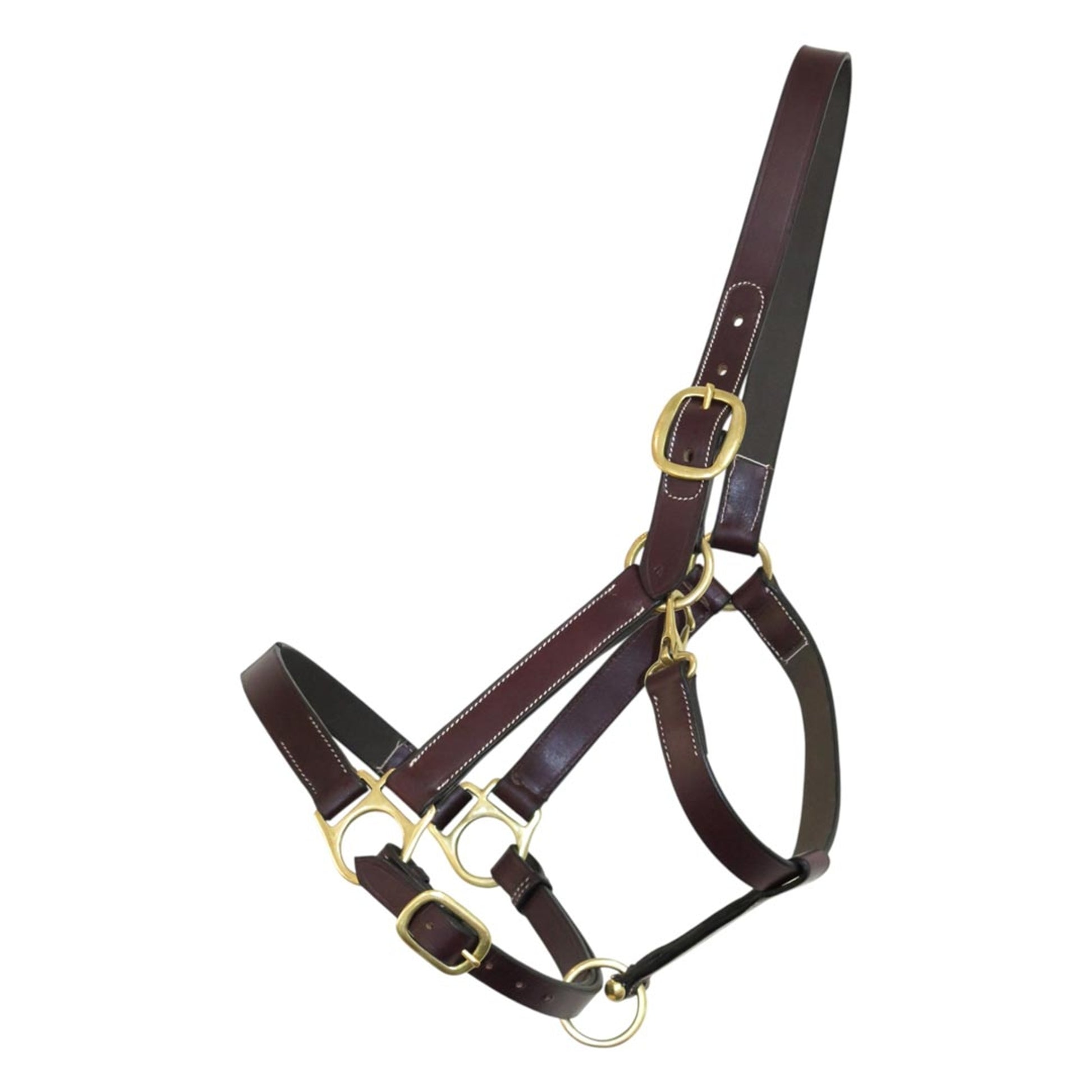 Henri de Rivel Leather Turnout Halters With Snap